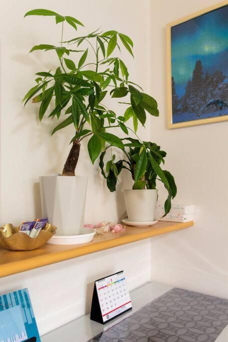 Apartamento Icoi/怡香居/憩い（大阪市内、無料駐車場付き、難波、心斎橋電車で10分）